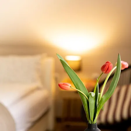 Lägenhet M Soko Banja